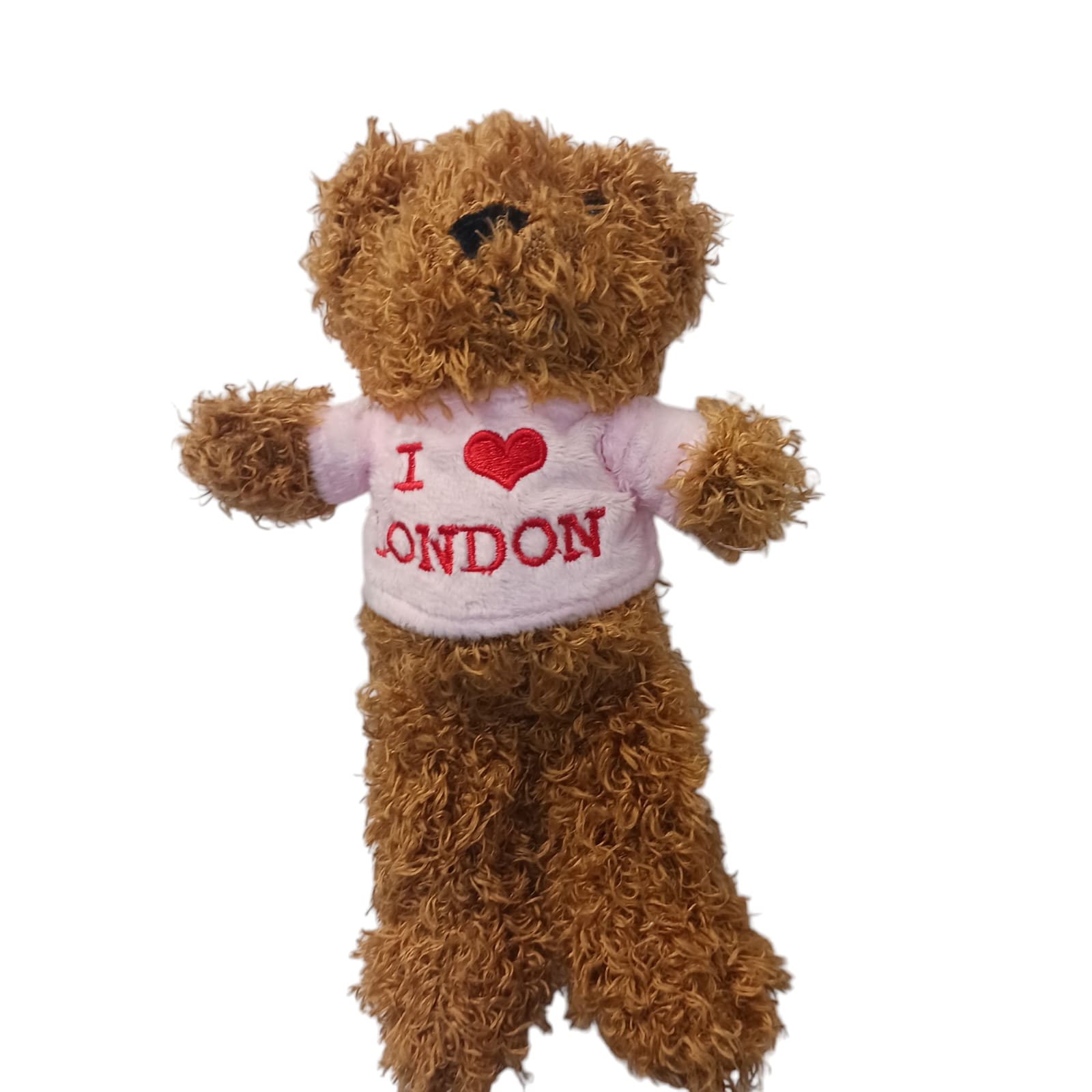 Plush Teddy Bear